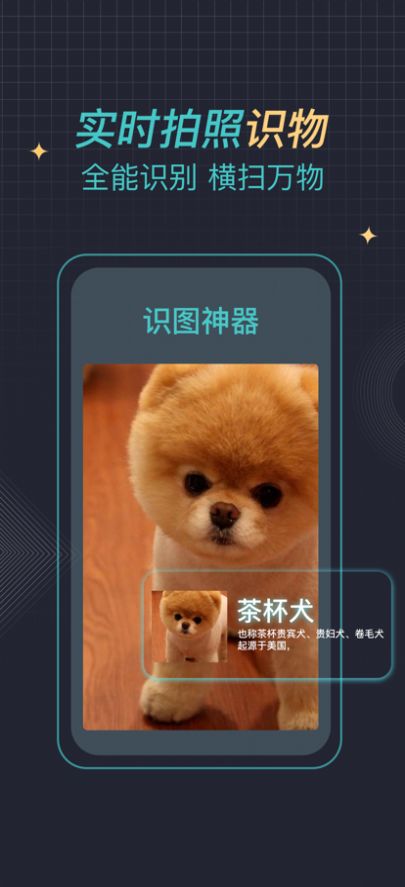 安卓识图神器app软件下载